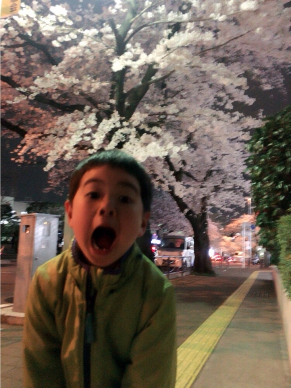 桜咲く♪