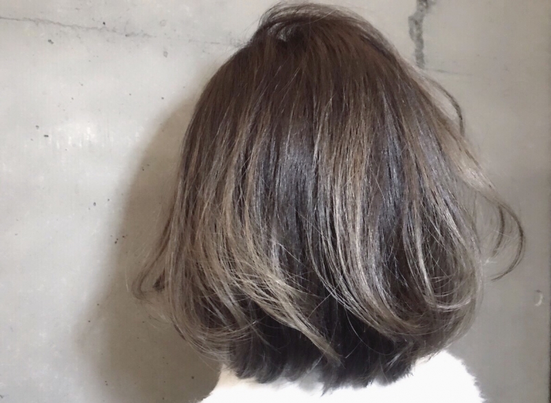 ハイライト