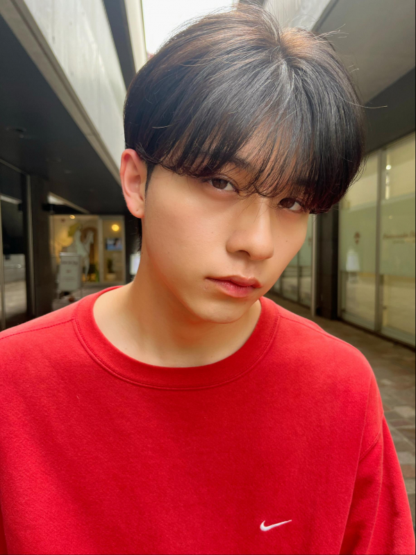 シースルー