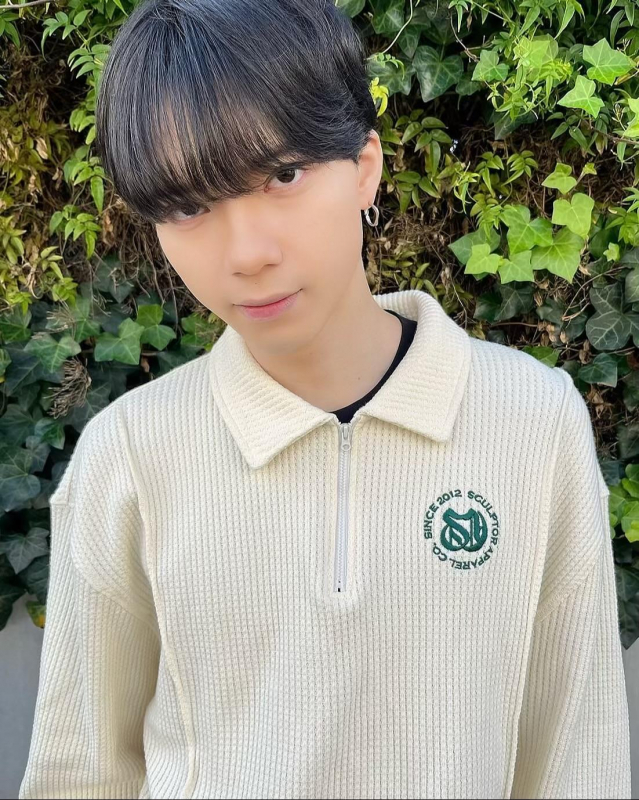 シースルーマッシュ