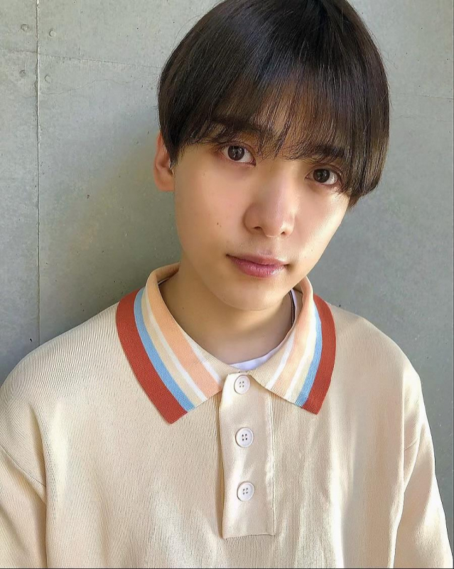 シースルーマッシュ