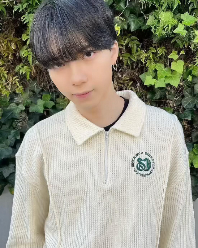 シースルーマッシュ